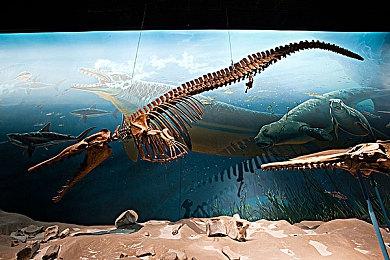 在全新的肉鸽自走棋战术RPG《外星入侵：自走棋》中消灭外星人并组建你的队伍