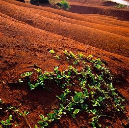 开服也能延迟？《暗黑4：憎恨之躯》Steam多半差评