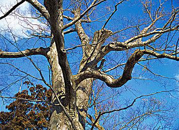 Steam最新100大显卡公布！N卡占据74%份额血洗A卡