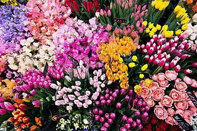 《DOTA2》XG战队官宣新阵容 Ame和XinQ加盟